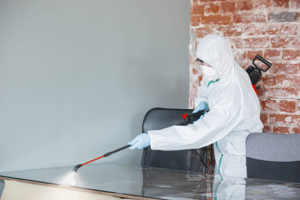 Best Industrial Mold Remediation  in Alpine, TX